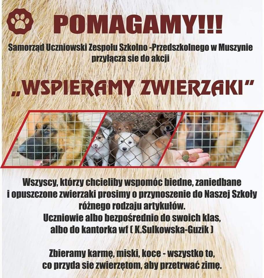 Pomagamy zwierzętom ze schroniska