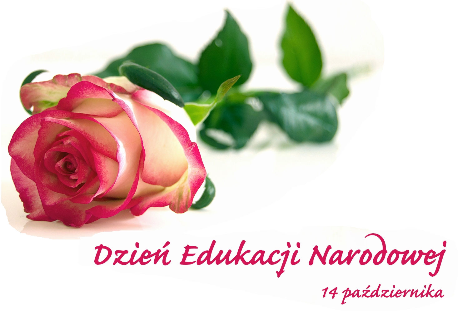 Dzień Edukacji Narodowej